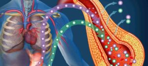 Read more about the article Types of Diabetes – Care and complications of each type of Diabetes