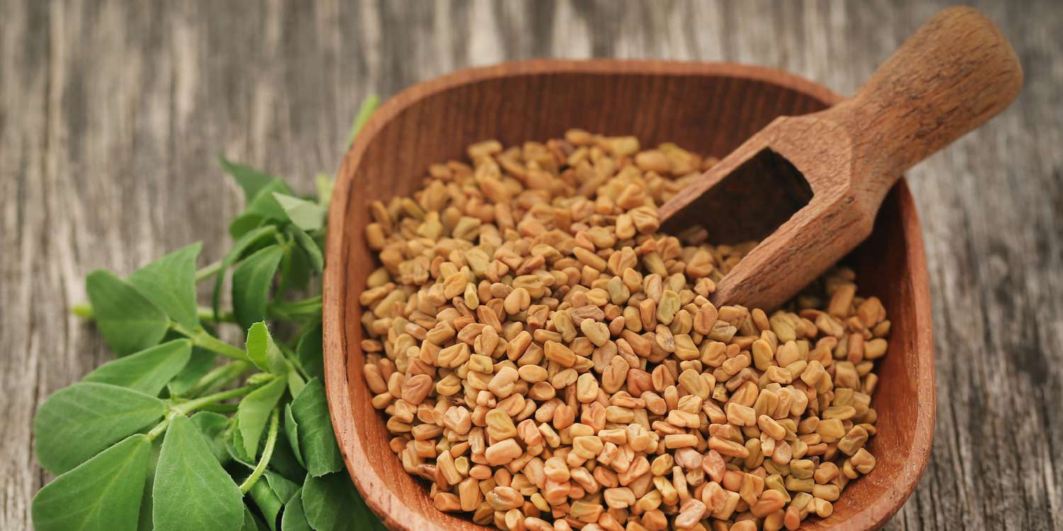 You are currently viewing Scientists Develop Fenugreek-Based Nanoparticles to Enhance Diabetes Treatment